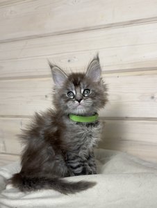 id:6121
